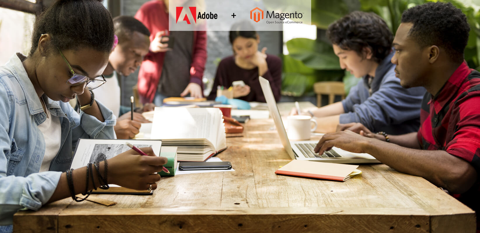Adobe Acquires Magento – Are You in Denial?